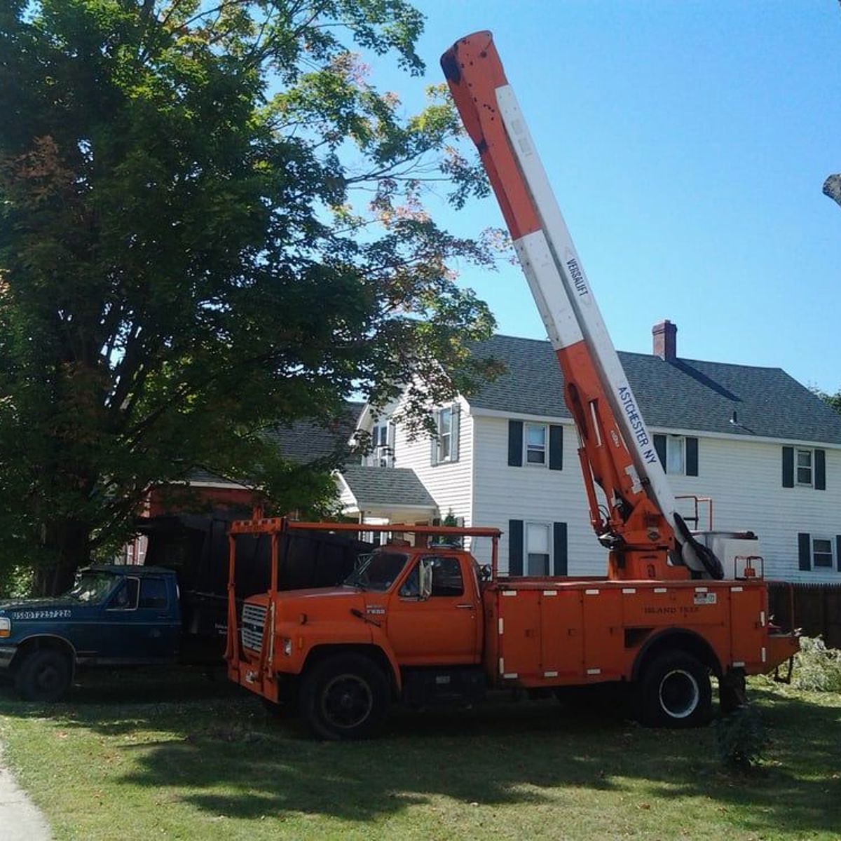 Island Tree Service